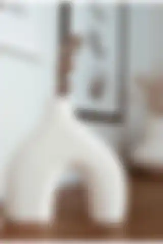 LİNECRAFT Minimal Vazo: Estetik ve Fonksiyonel Beyaz Dekoratif Seçenekler