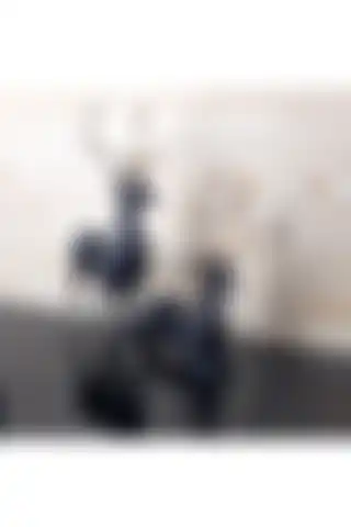 Estetik ve Fonksiyonellik: Gyk 2'li Siyah Geyik Figürü ile Evinizi Şıklıkla Tamamlayın