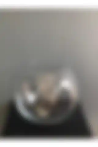 KALİTELİ ÇİÇEK Akvaryum Cam Fanusu ile Modern İç Mekan Dekorasyonu