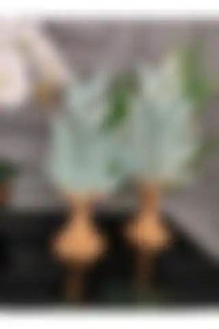 SZN Dekor 2'li Yaprak, Konsol Üstü Dekoratif Obje ile Estetiği Yakalayın